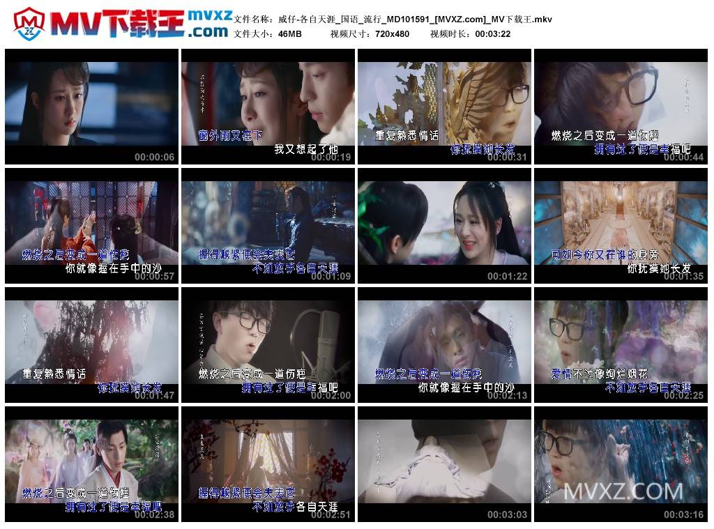 威仔-各自天涯_国语_流行_MD101591